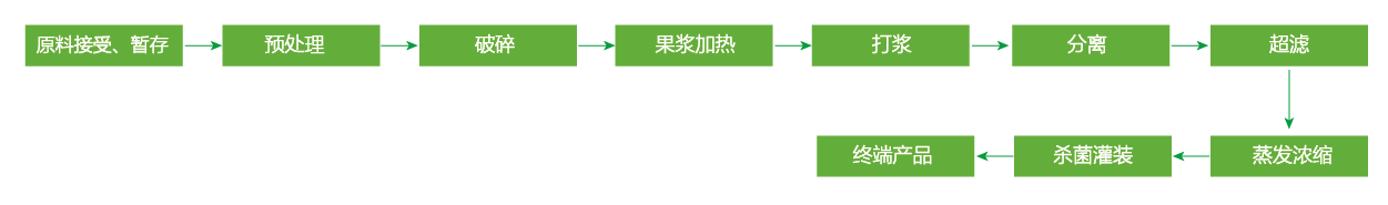 蓝莓、草莓、桑葚浓缩汁